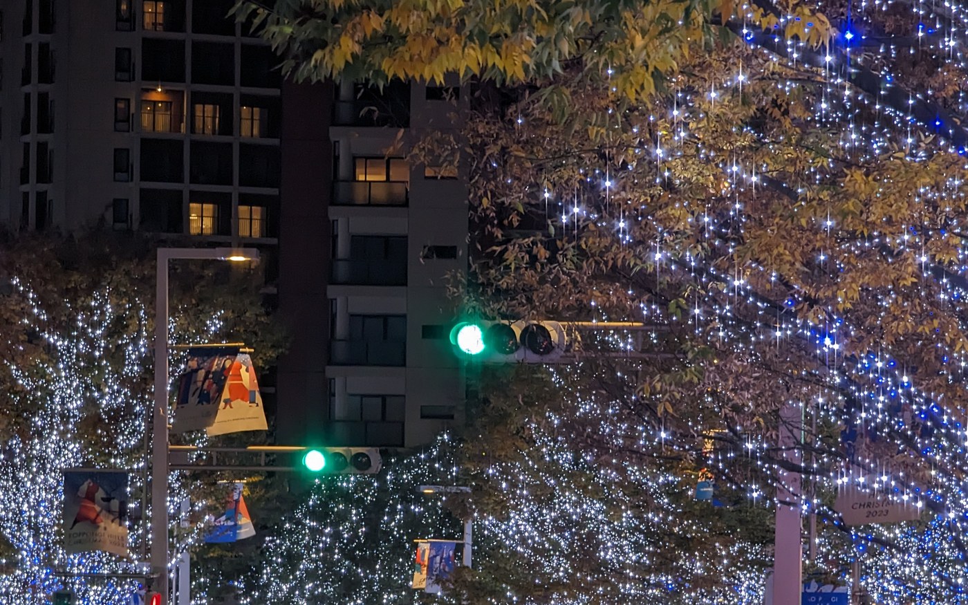 A street of zelkova trees wrapped in blue and white LED lights at night