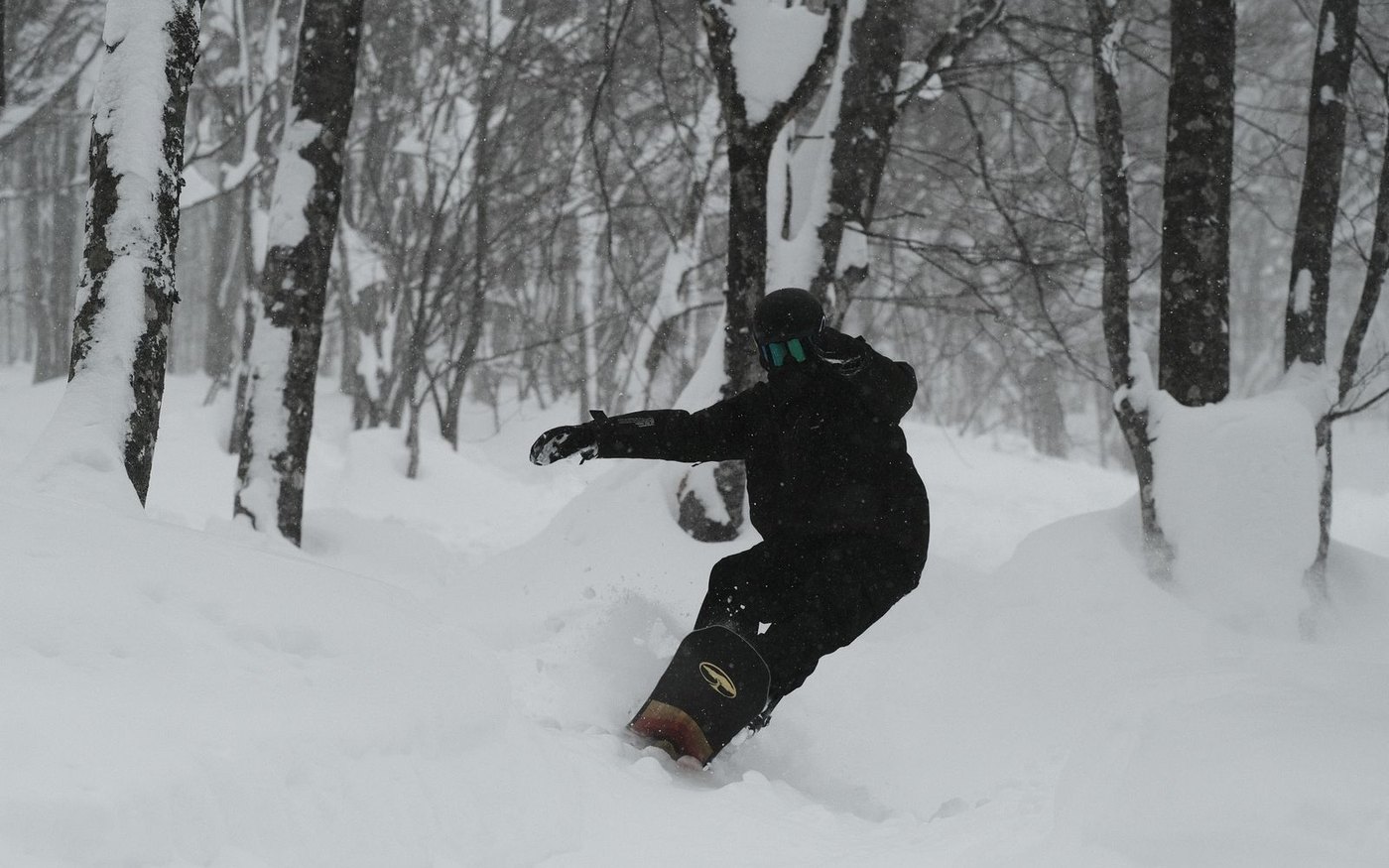 A snowboarder riding deep powder between snow-covered trees