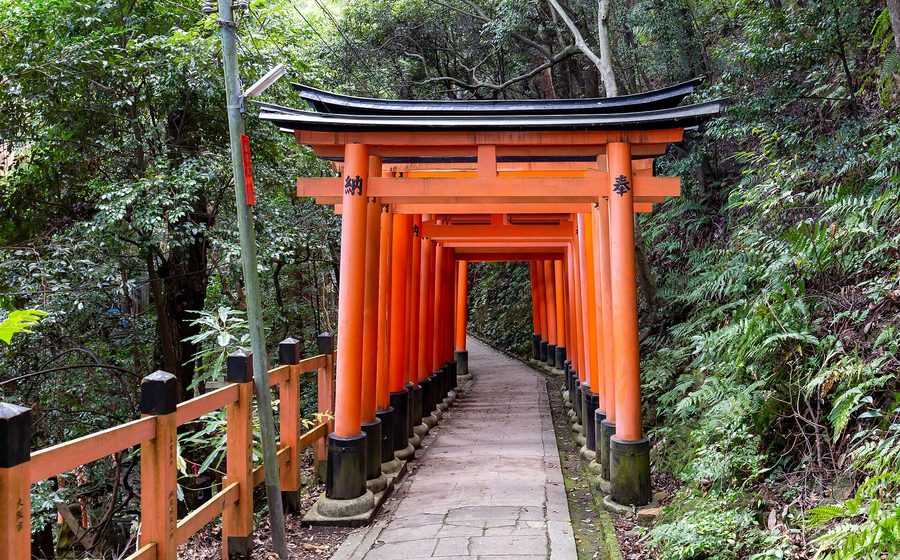 Torii gate path at Fushimi Inari Taisha, Kyoto