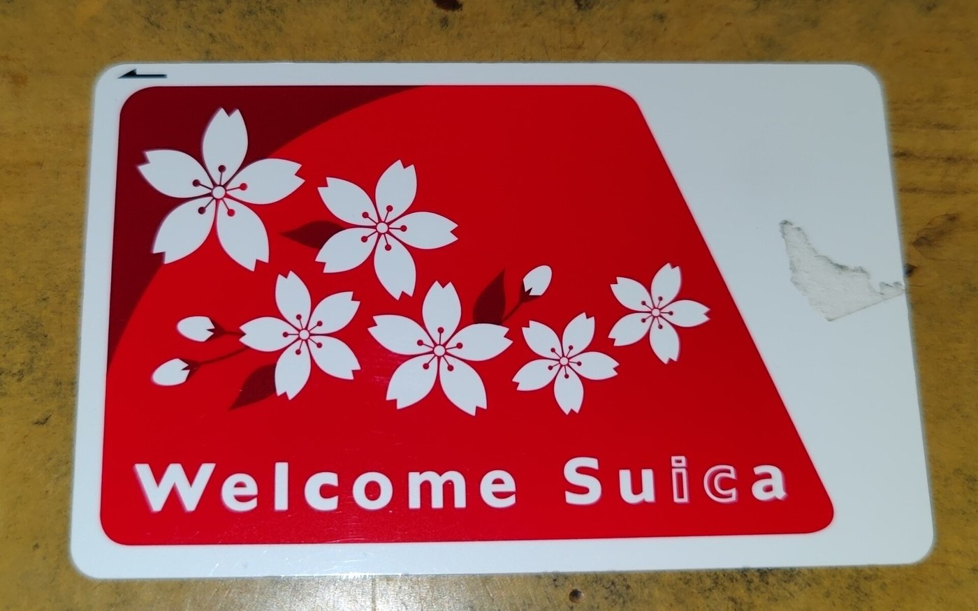 A red and white Welcome Suica card with cherry blossom printing on a wooden table