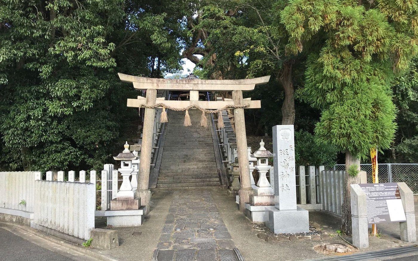 A weathered stone torii gate with a straw rope across it, at the foot of stone steps leading into trees