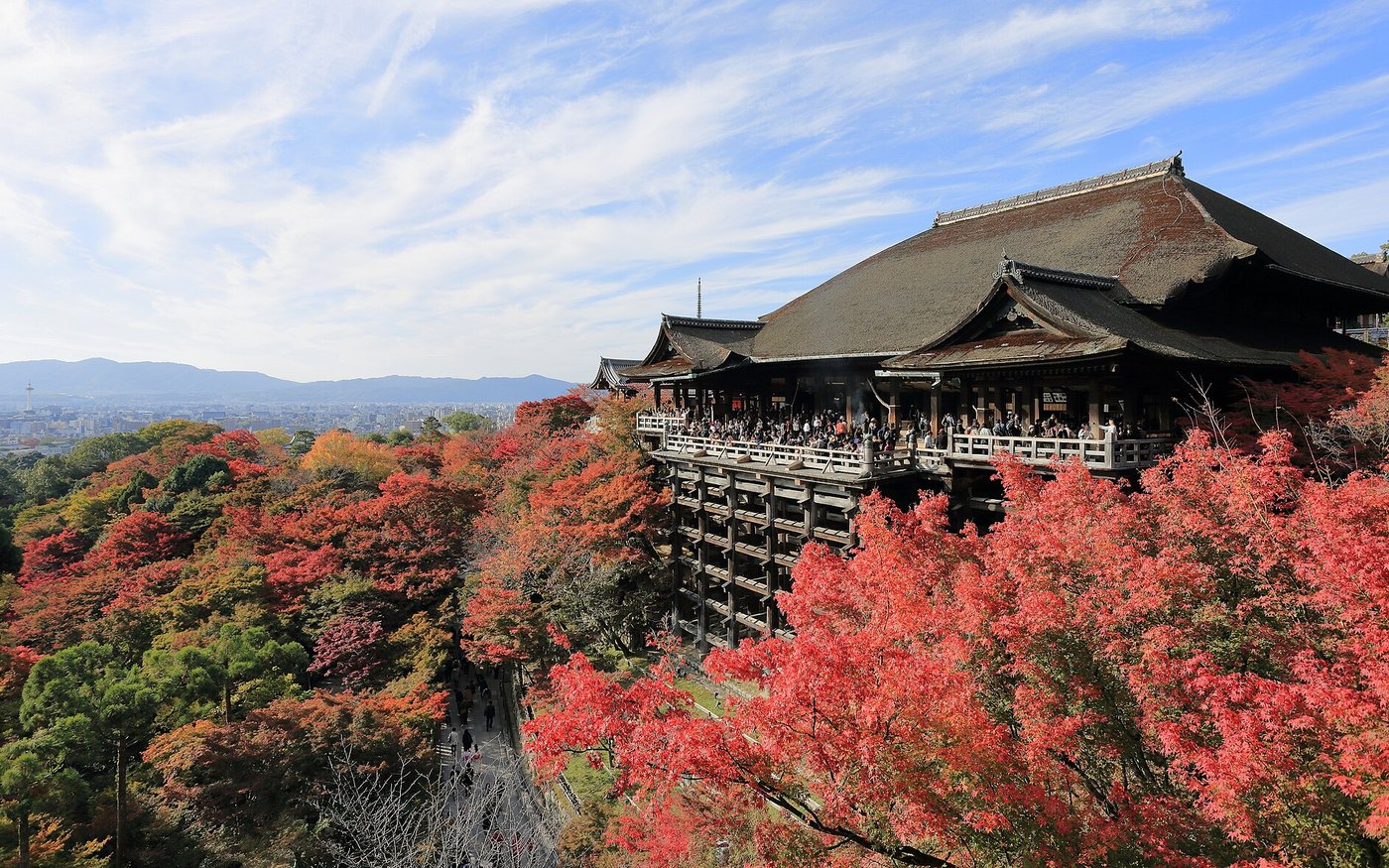 A temple hall on a hillside surrounded by red and orange maples