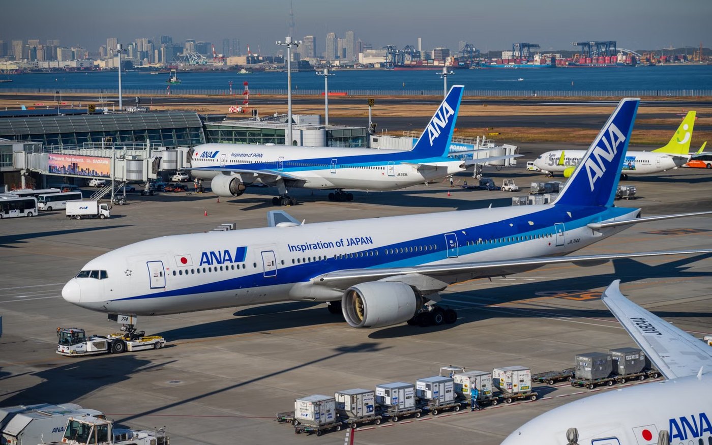ANA jets on the apron at a Japanese airport, one pushed back from its gate