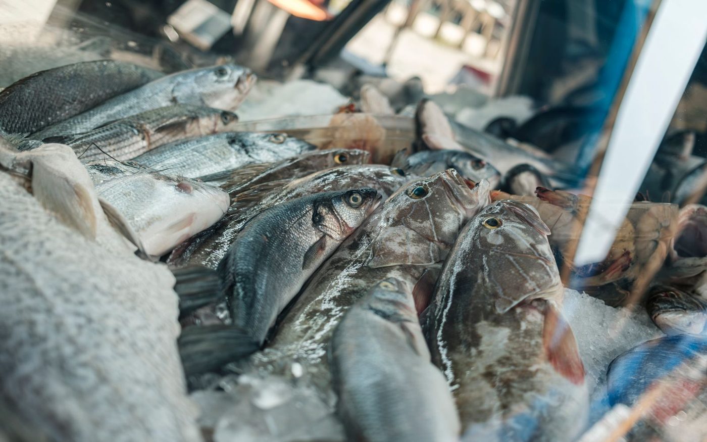 Trays of whole fish on ice at a market counter