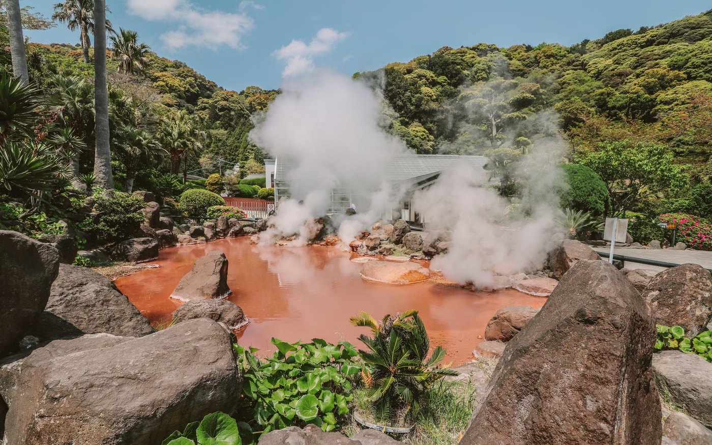 Steam rising off a mineral hot spring surrounded by green foliage