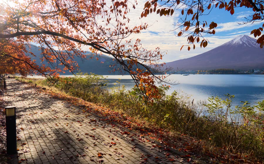An autumn path at the northern shore of Lake Kawaguchi with autumn colour and Mount Fuji beyond the water