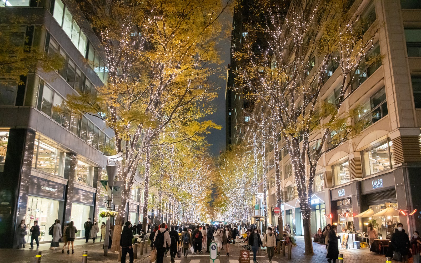 Marunouchi Naka-dori at night, street trees wrapped in warm champagne-gold LED lights
