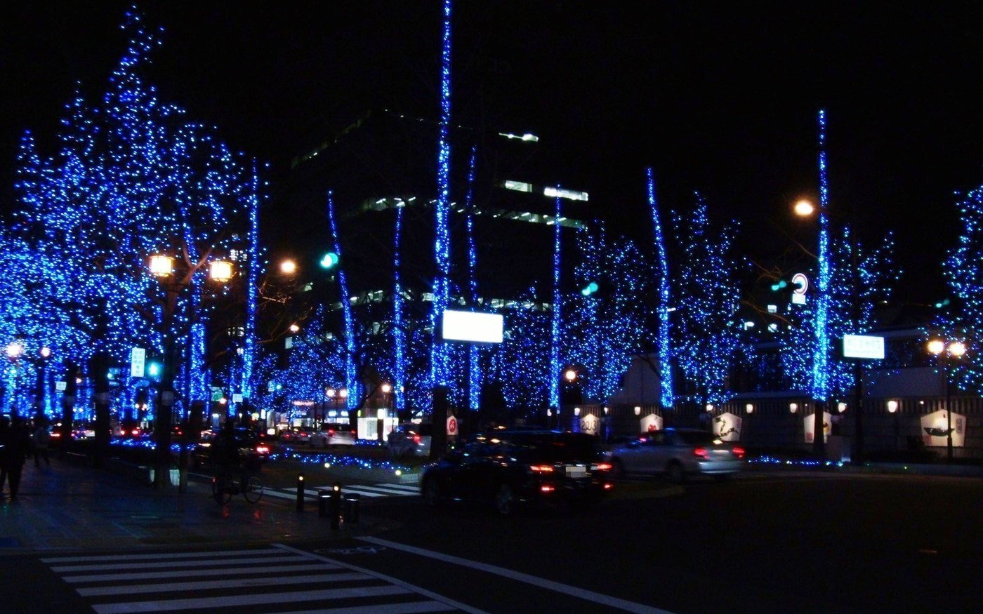 Midosuji in Osaka at night, the street trees wrapped in blue and white lights over the traffic