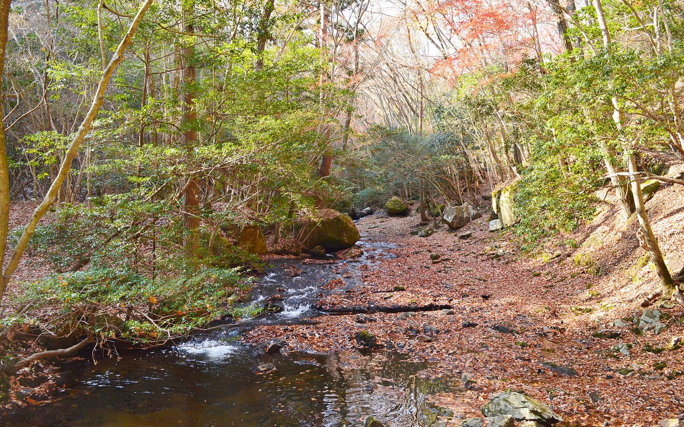 The stream and autumn trees in the Rurikei valley, in the hills south of Sonobe