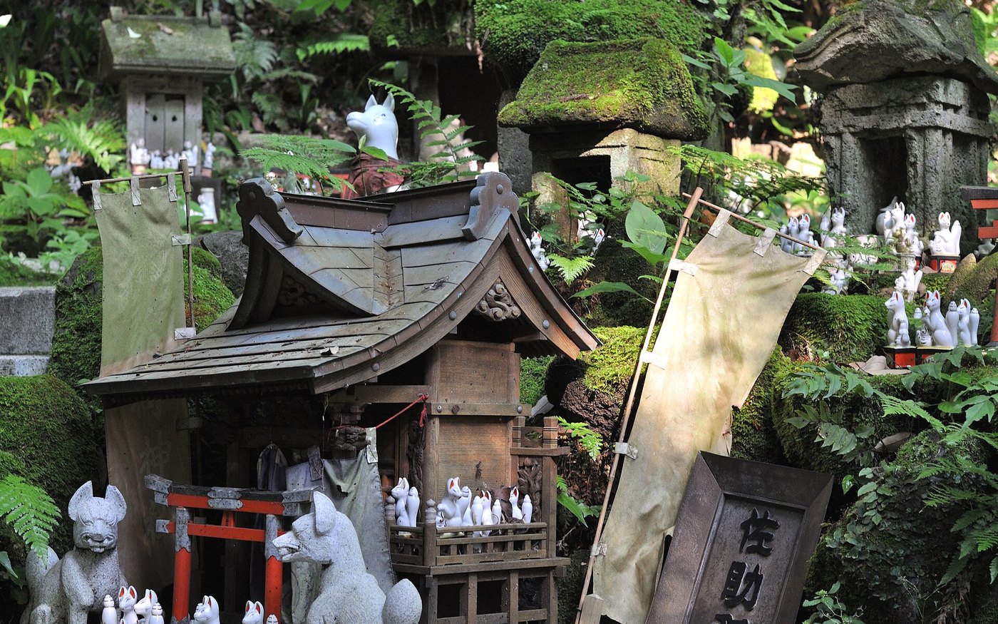 A red torii and white fox statues on the wooded approach to Sasuke Inari shrine