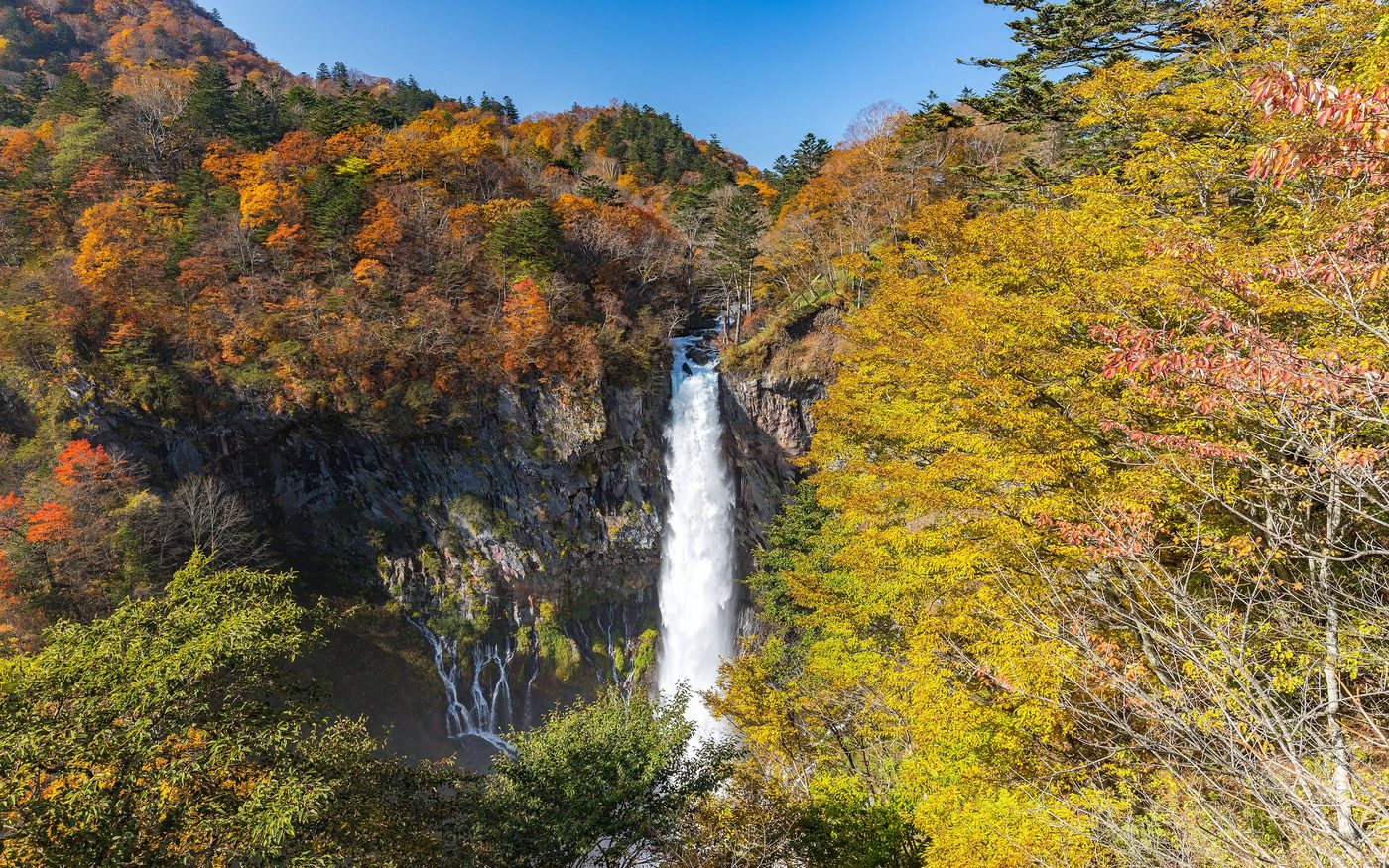 Kegon Falls dropping down a dark cliff between autumn trees in yellow and orange