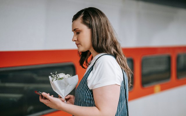 A traveller checking a phone beside a train window