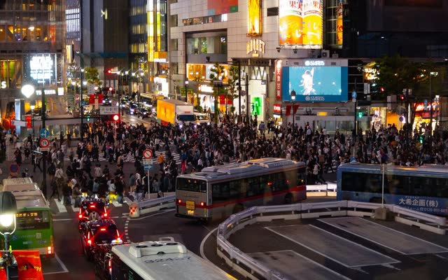 Tokyo at dusk from a high vantage point