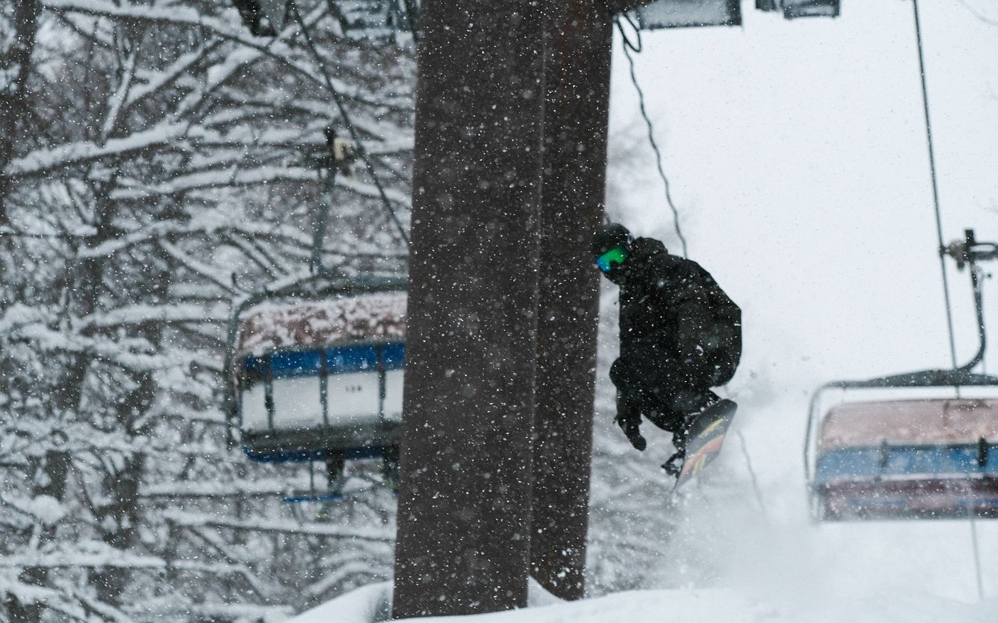 A skier in deep powder between bare trunks and snow-covered trees