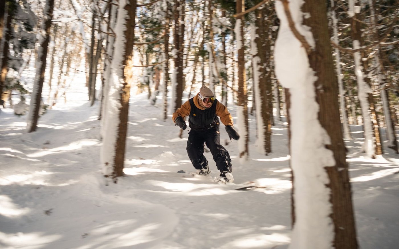 A skier descending between tall snow-laden trees